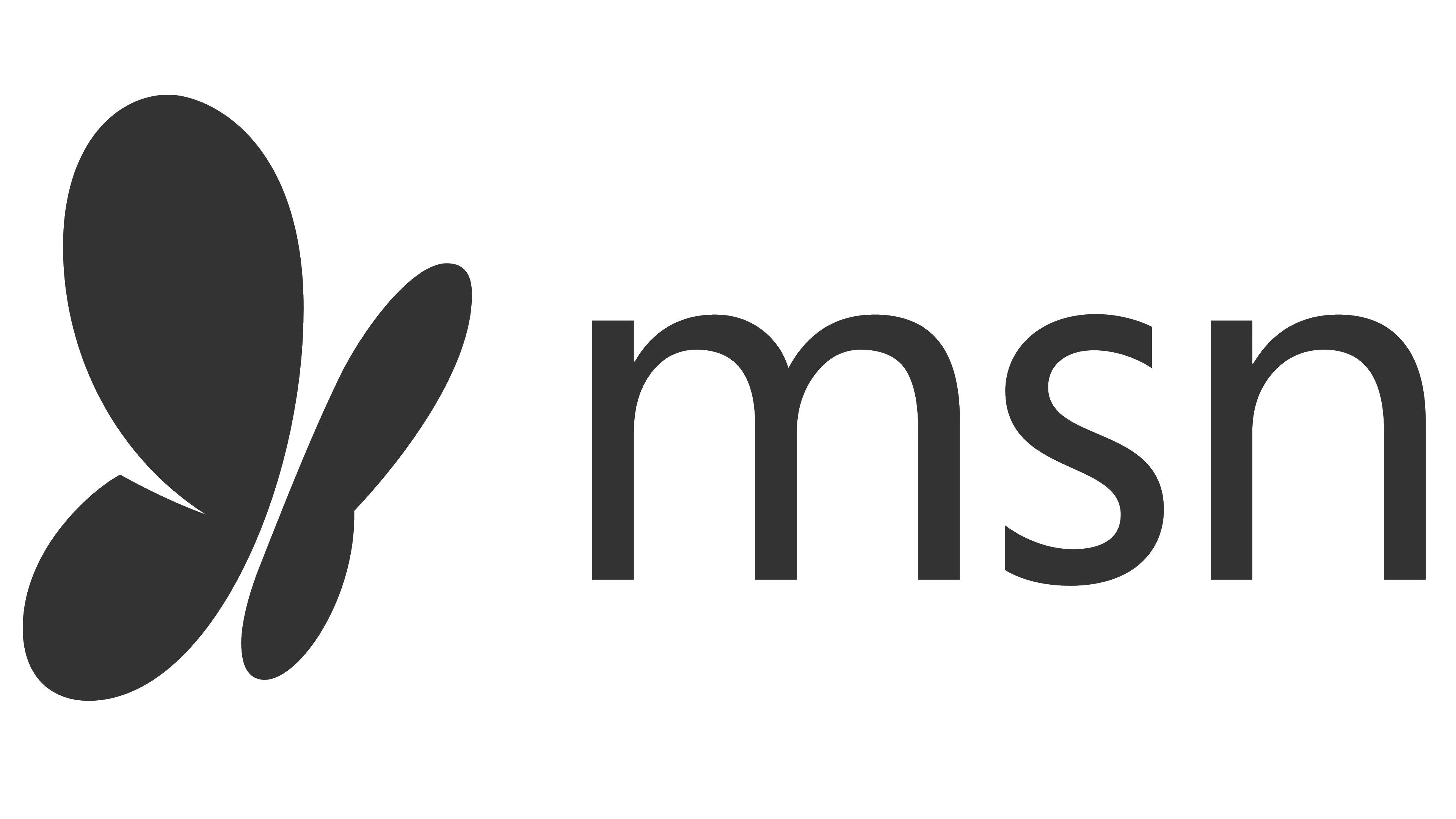 MSN Logo